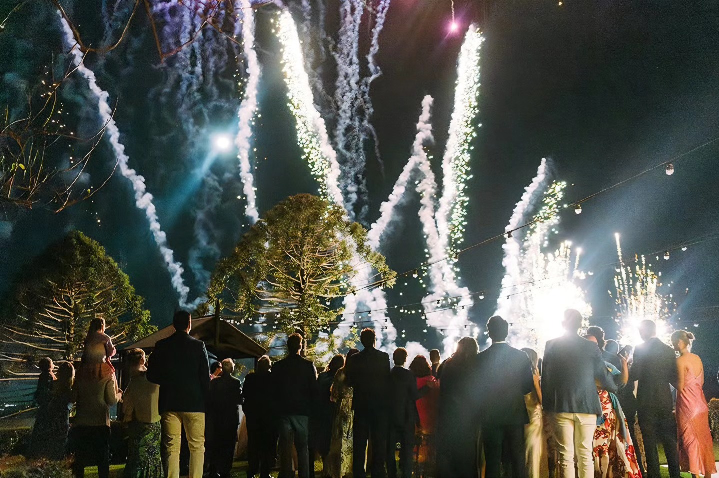 Wedding guests watching a multi-shot fireworks display light up the night sky